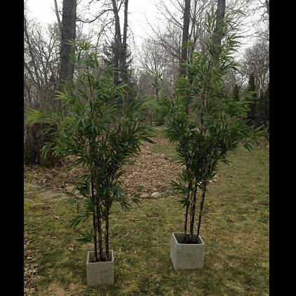 Bamboo set of two 6' & 7' - Artificial Trees & Floor Plants - tropical trees for rent